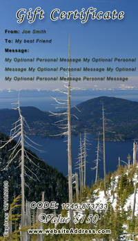 Denver Fine ART Gift Certificates & Gift Cards